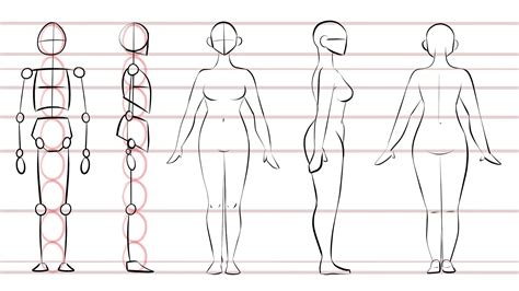 Women drawing: Easy, Full Body, Simple and Step by。